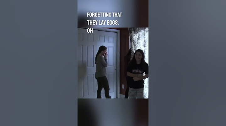The best Thanksgiving prank ever 😂