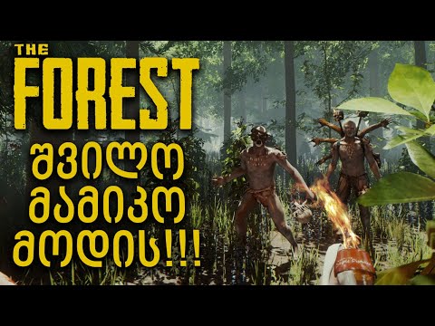 ჩავედი გამოქვაბულში შვილის საპოვნელად! - The Forest #3