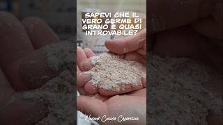 Pane Rustico Il pane di una volta  #pane #recipe