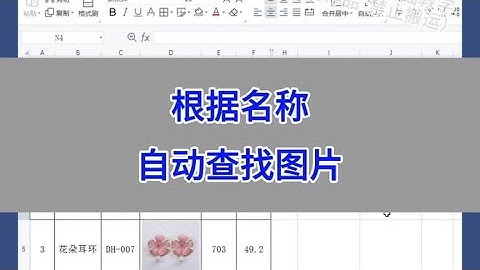 WPS Excel：根据名称自动查找图片。 #wps #excel #办公技巧