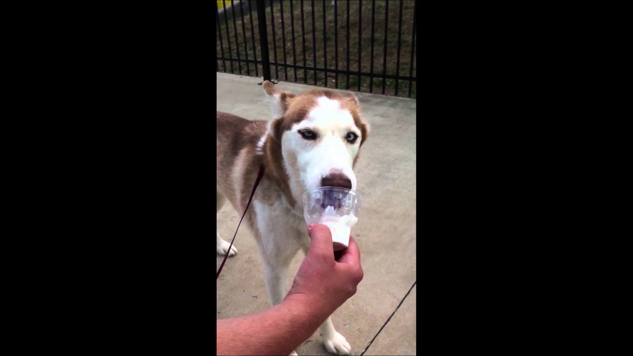 Juneau's first ice cream YouTube