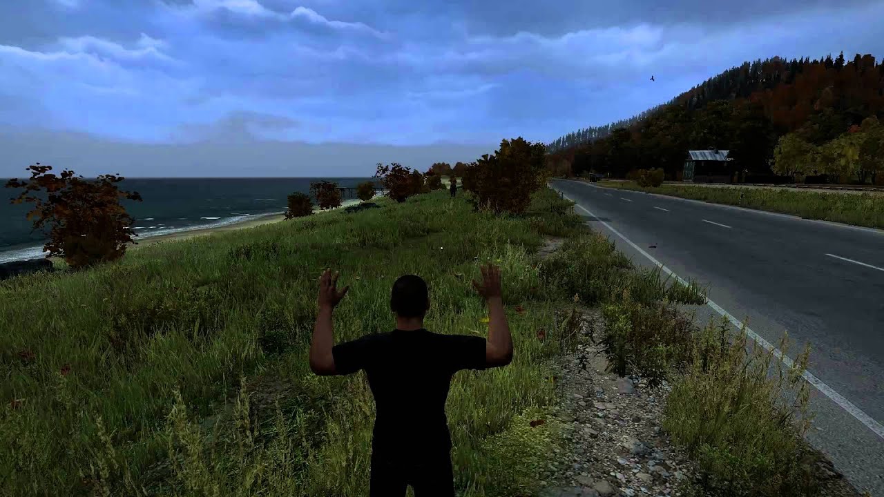 DayZ Standalone Taking Blood YouTube