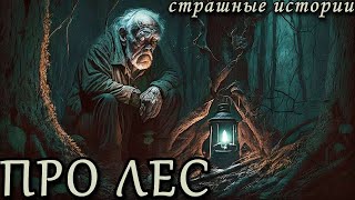 видео: ПРО ЛЕС. Лесные Страшные Истории (5в1) картинка: ПРО ЛЕС. Лесные Страшные Истории (5в1)