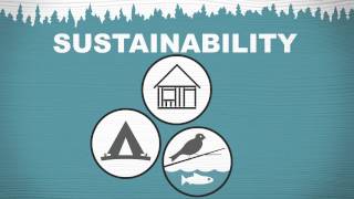 FOREST FAST BREAK:  Sustainability