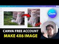 How to make a 4x6 card in Canva - 2025 Step by step