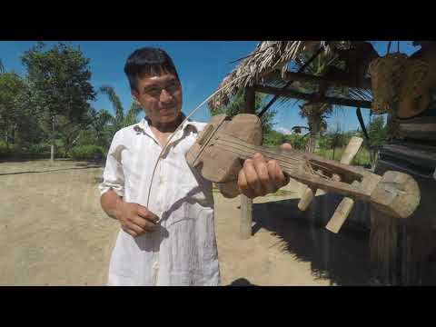 Video Abstract: Perceptual fusion of musical notes by native Amazonians