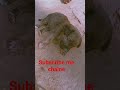 cute 🥰🥰 #shortvideo
