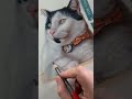 Incredible portrait drawing of cat  dog souravarts  drawing watercolor shorts viral cat