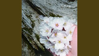 ゆめみづき～臼杵の紙雛祭り～