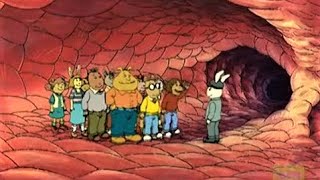 [Nasal] Inside a rabbit's nose (A S04E03)