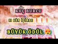 Ko burcu  11 gn nde  