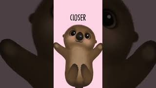 Otter hugs! #otters #otterhug #hugs