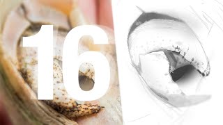 Draw with Dorian #16 – 🎸 "Coming Out", Social Anxiety, Shame and Courage