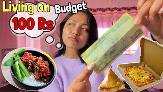 Living On Rs. 100 For 24 Hoursfood Challenge