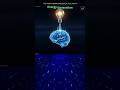 Brain's Energy - Little light bulb