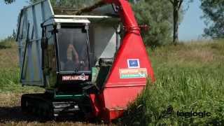 Softrak 120 Harvesting Phragmites Denmark video