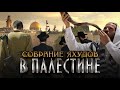 СОБРАНИЕ ЯХУДОВ В ПАЛЕСТИНЕ | ВЫХОД ДАДЖАЛЯ | Шейх Салих аль-Фаузан