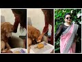 Anchor Suma celebrates Zorro birthday at home
