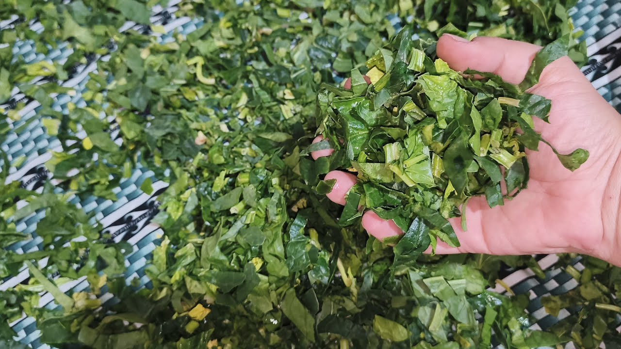 Ispanak buzlukta nasıl saklanır