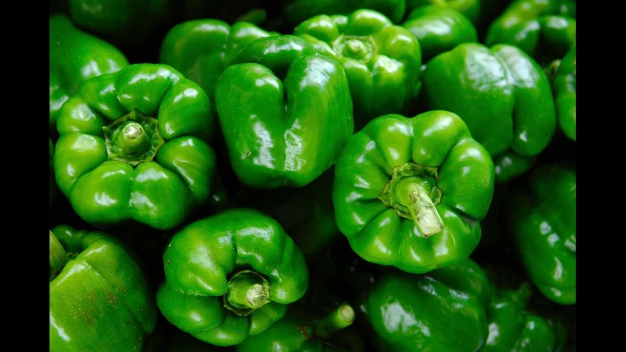 Flutes and Veggies Violet Crown Flute Choir April 30, 2023 YouTube