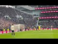 Failed pitch invaders at Tottenham