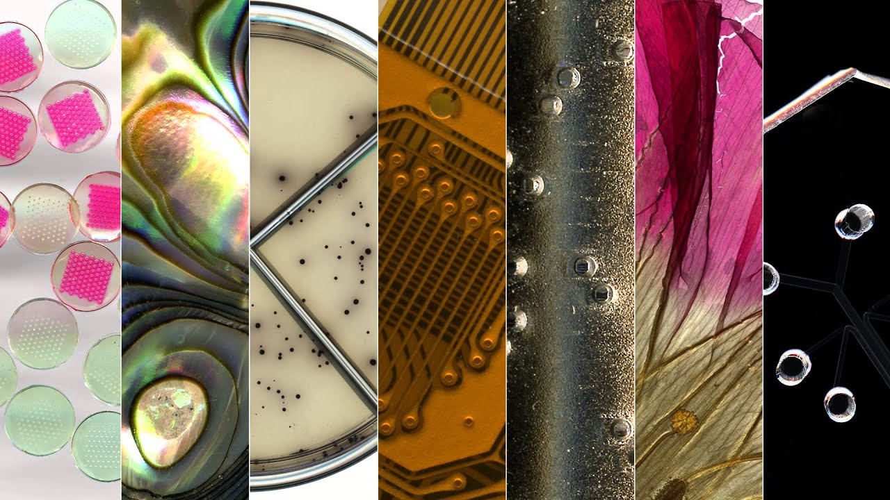 Preview video: Making Science and Engineering Pictures: A Practical Guide to Presenting Your Work