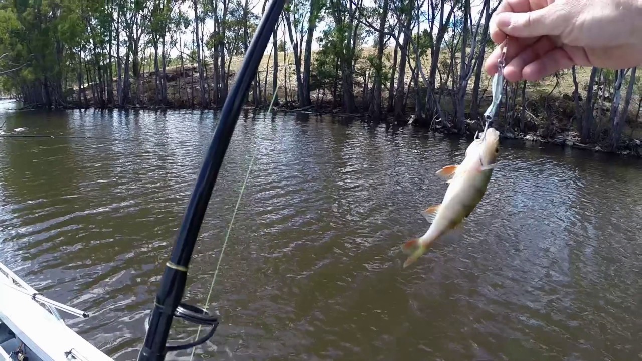 Fishing Lake EppalockOne snag one small fish YouTube
