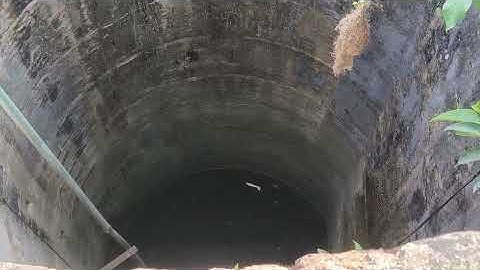 My first vlog #short video#trending#viral#my channel Mohammed Shabeeh#please subscribe Karen#YouTube