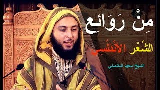 من روائع الشعر الأندلسي لسان الدين بن الخطيب - الشيخ سعيد الكملي