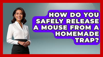 How Do You Safely Release A Mouse From A Homemade Trap? - Insects and Invaders