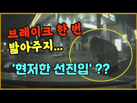9865회. 뻔히 보이는데도 멈추지 않고 와서 박았다면?  형식적 판단이 아니라 실질적인 판단을 해야 합니다