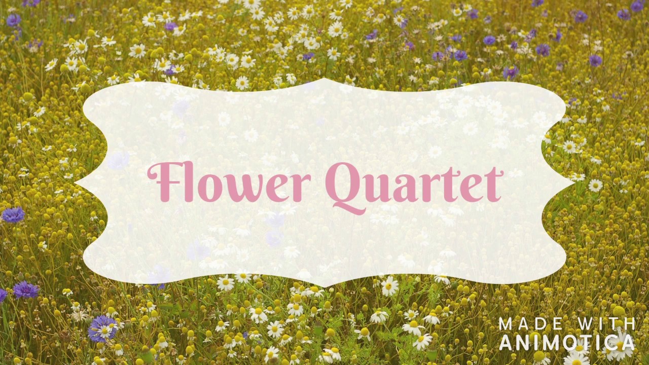 "Zima" cz. 2 Largo A. Vivadii Flower Quartet Radosny utwór na ślub