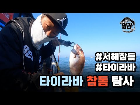 [워러]의 루어낚시 - 선상 참돔 타이라바 탐사