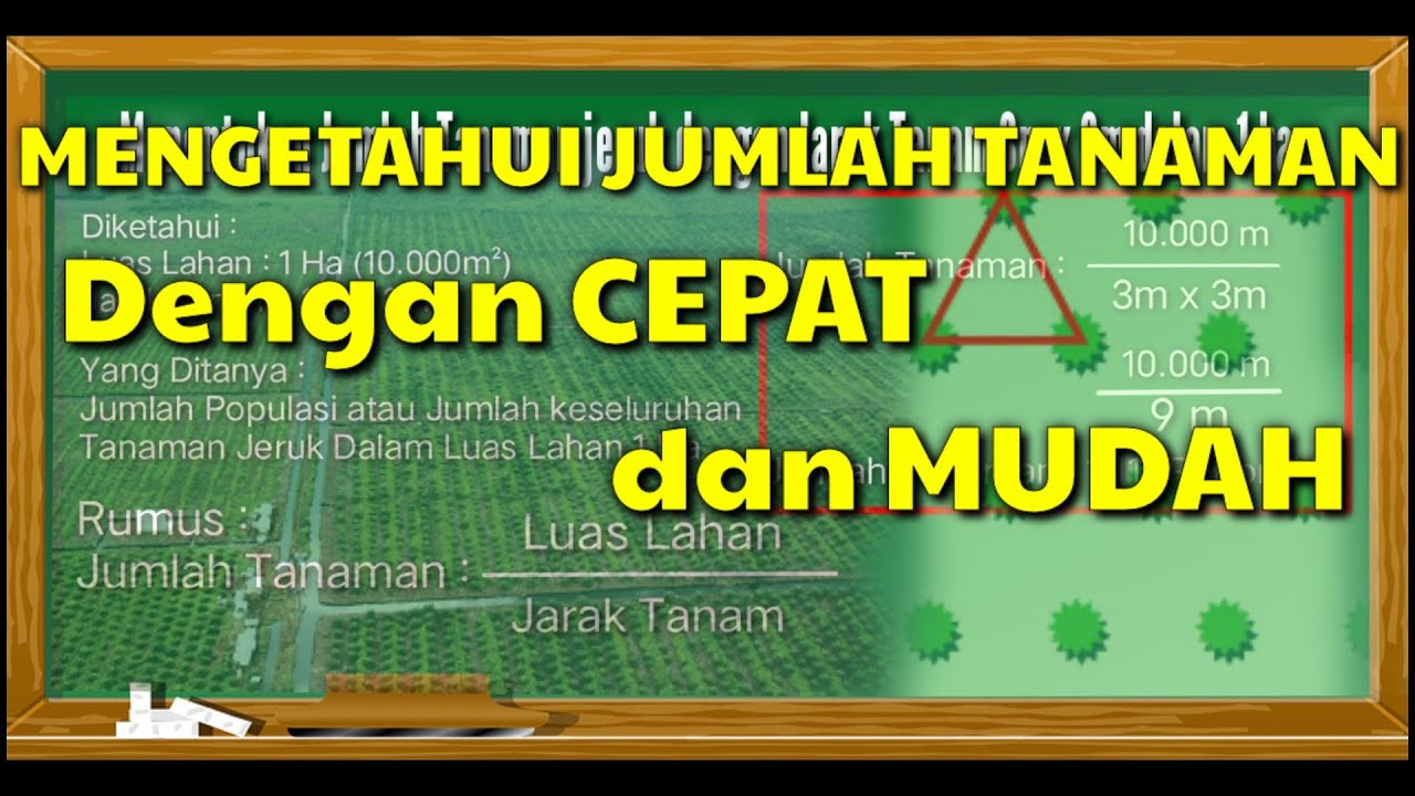 cara-menghitung-jumlah-tanaman-per-hektar-dengan-mudah-dan-cepat