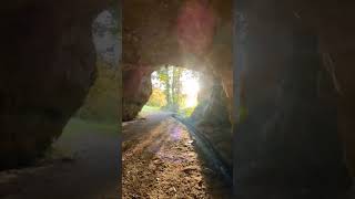 Cueva de San Pedrín Asturias #asturias #naturaleza #senderismo