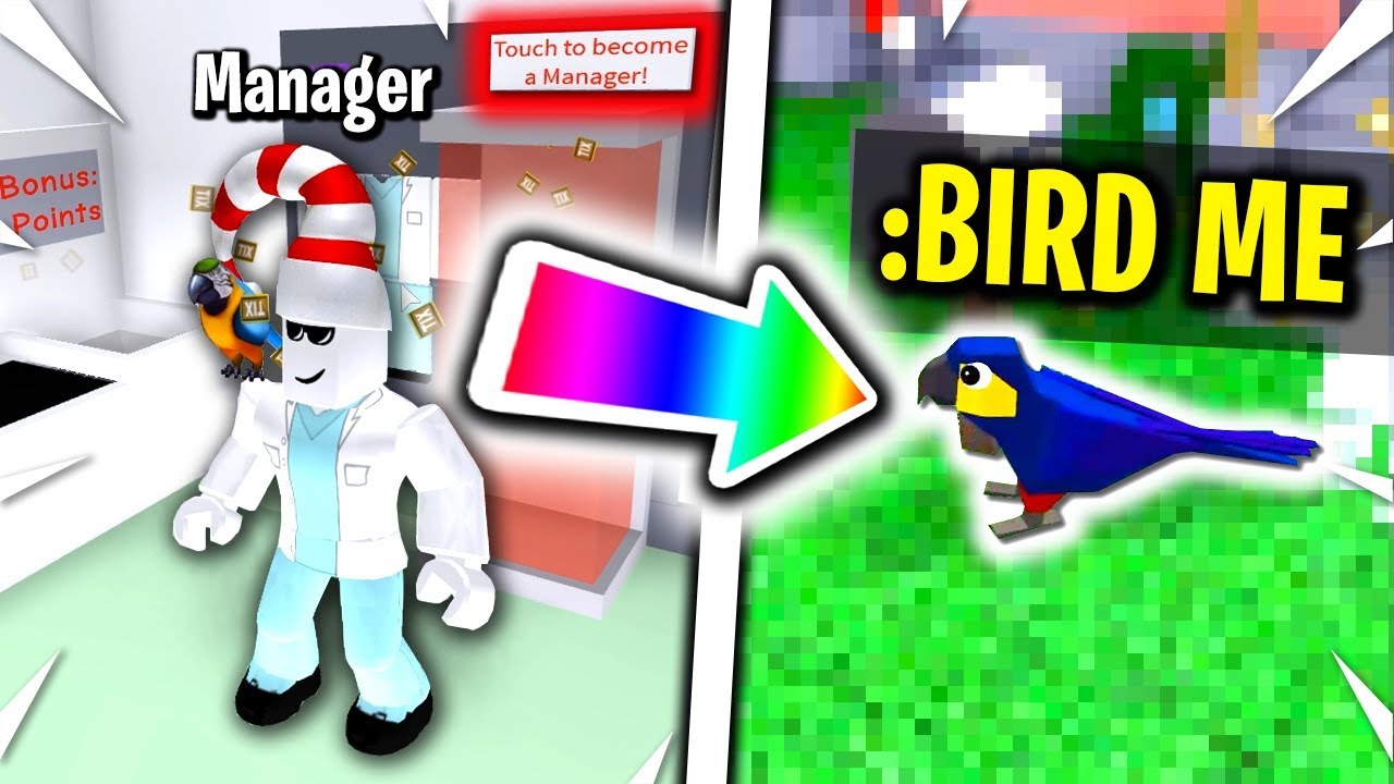 Playing Roblox Vet Simulator For The First Time Youtube - airdrop teleport hack roblox jailbreak youtube