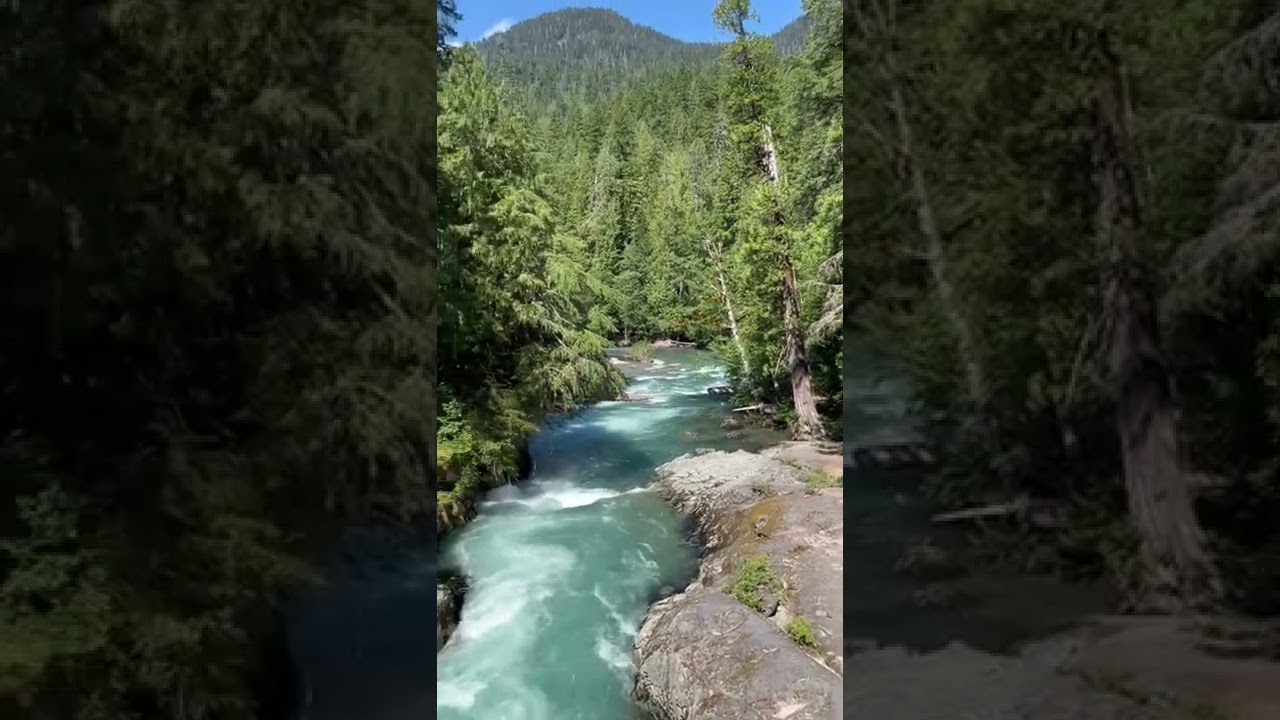 Ohanapecosh River Mt Rainier National Park Washington