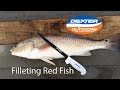 Filleting Redfish with a Dexter knife