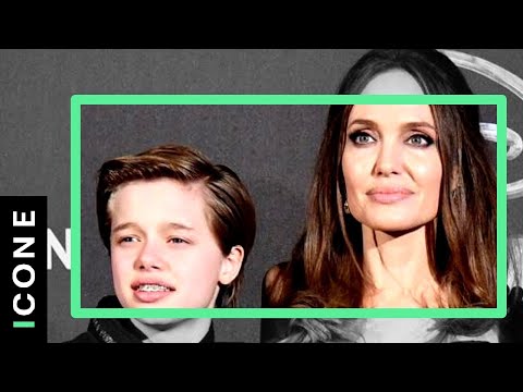 Video: Negano Che Angelina Jolie E Brad Pit Accettino La Custodia Dei Loro Figli