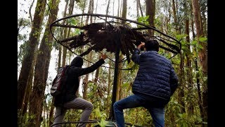 CASA ABANDONADA EN MEDIO DEL BOSQUE