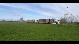 Duivenlossing Afdeling 10 Duiven 15042023