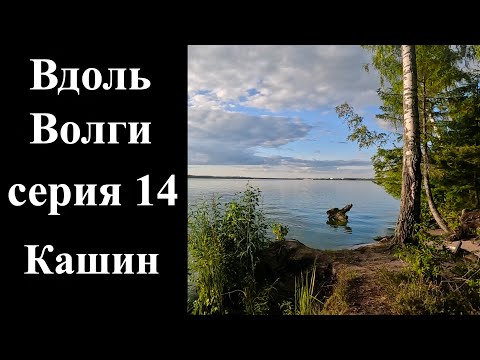 видео: 14. Кашин