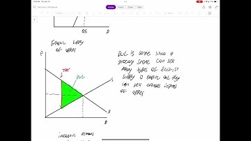 Econ 101 Kritik Video Assignment #2
