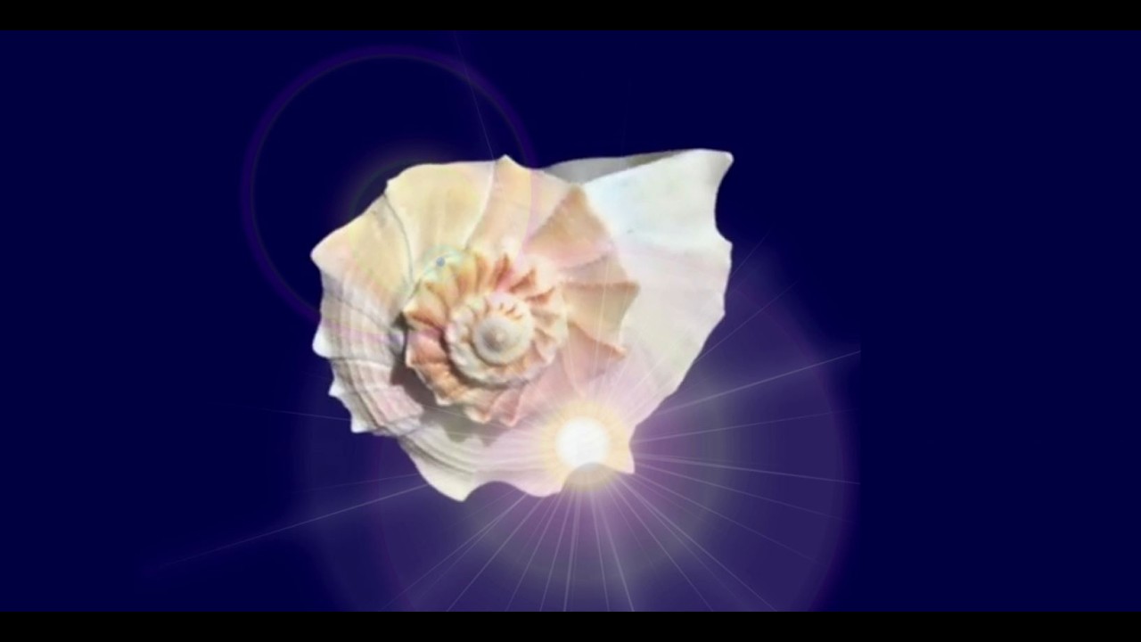 Meditación Luna Nueva de Acuario con eclipse 25 por  Isabella Di Carlo