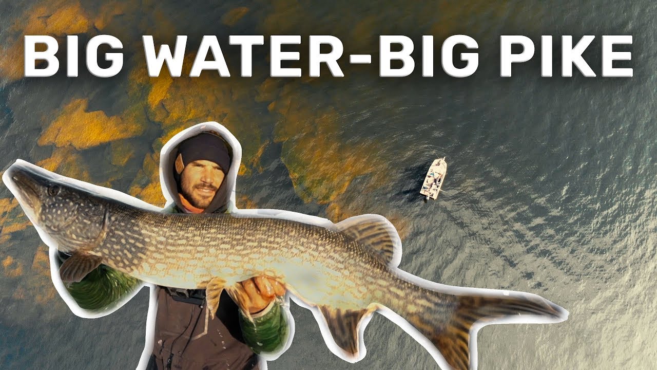 Fishing PIKE on BIG water!