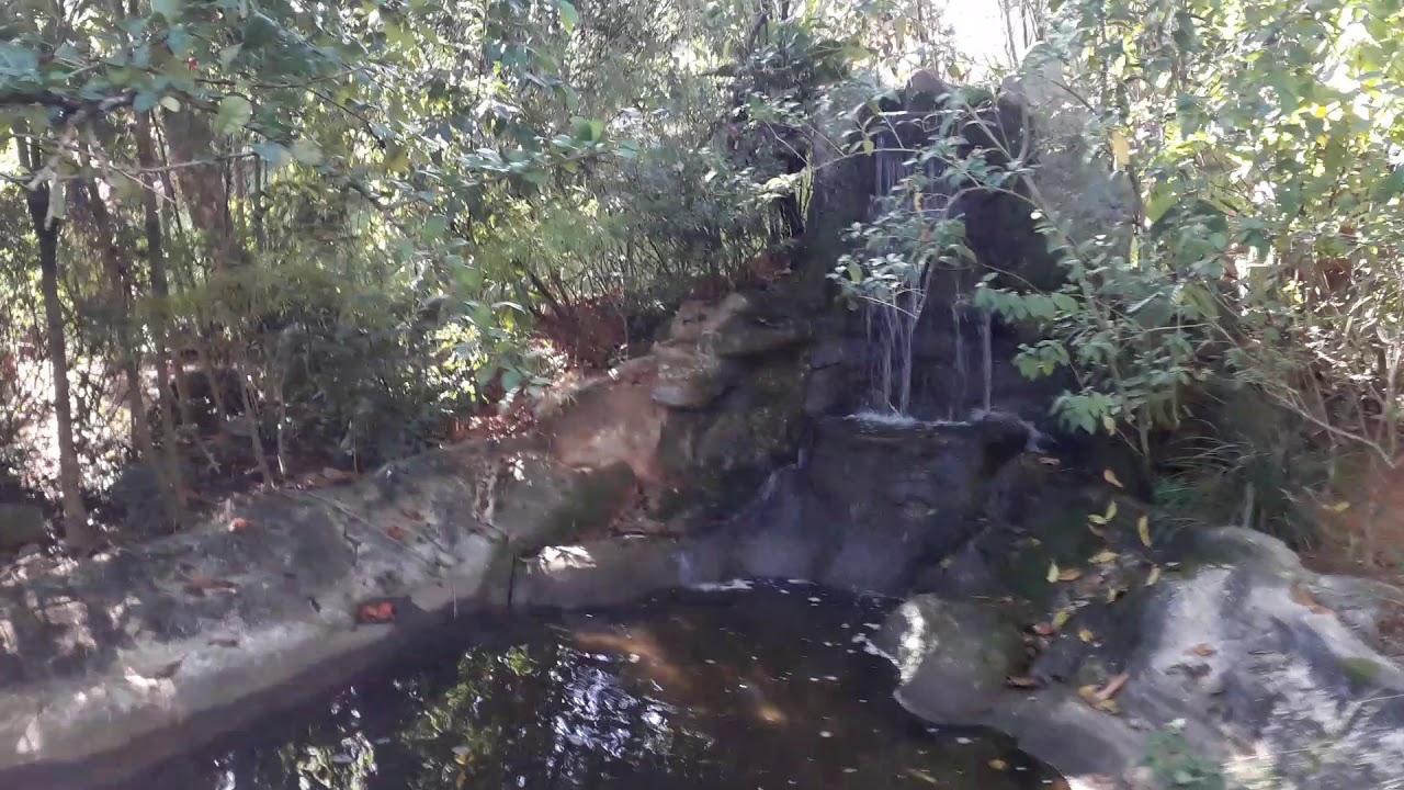 Sitio Jonosake Itaguaí Rio de Janeiro YouTube Sitio Jonosake Itaguaí Rio de Janeiro YouTube