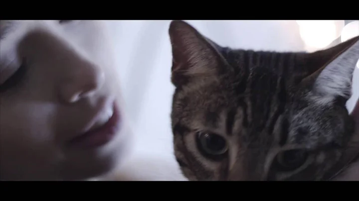 Paul Castillo - Stay (Official Video)