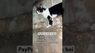 Please 🙏 donate any 1$ if you can #donate #fyee #foryiurpage #fyeeeeeeeeeeeeeeeeeee