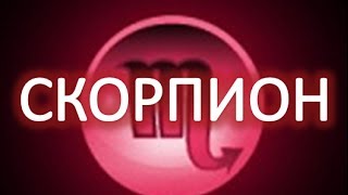 гороскоп скорпион . астрологический прогноз и гороскоп знака скорпион гороскоп скорпион . астрологический прогноз и гороскоп знака скорпион
