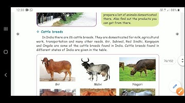 V STD SCIENCE TERM   III UNIT   I OUR ENVIRONMENT Part   I